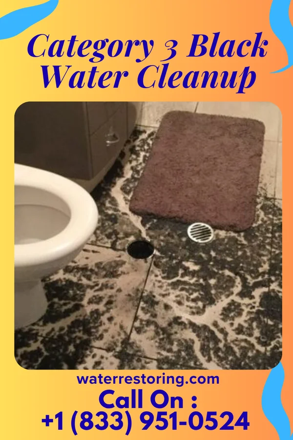 Category 3 Black Water Cleanup in Hillcrest, TX