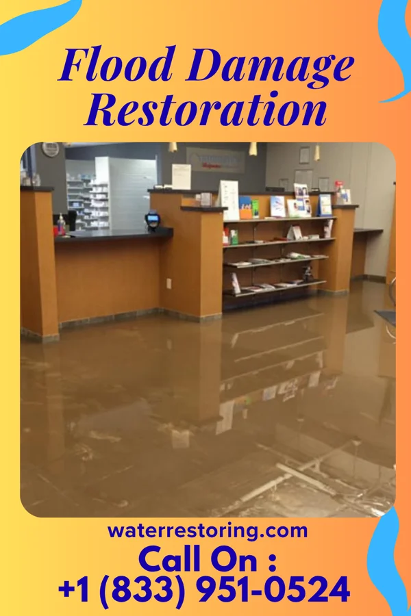 Flood Damage Restoration in Hillcrest, TX