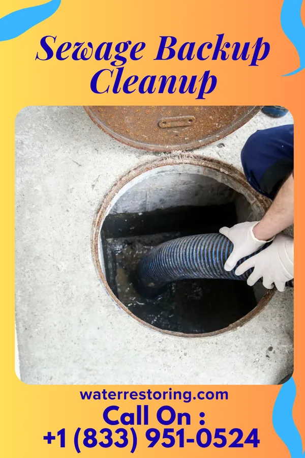 Sewage Backup Cleanup in Hillcrest, TX