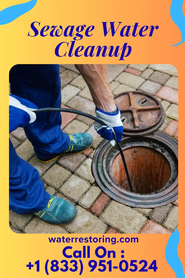Sewage Water Cleanup in Hillcrest, TX