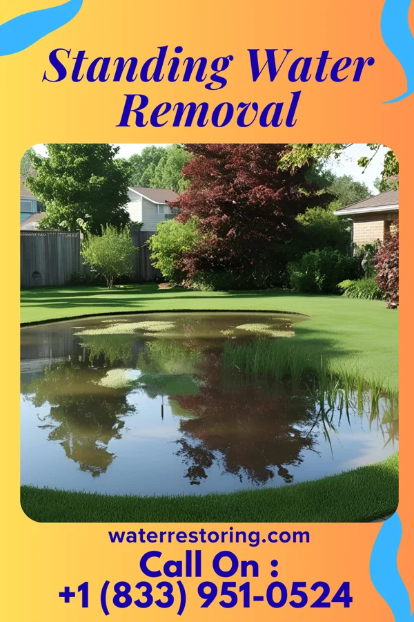 Standing Water Removal in Hillcrest, TX